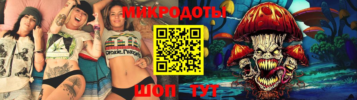 Псилоцибиновые грибы Psilocybe Ессентуки