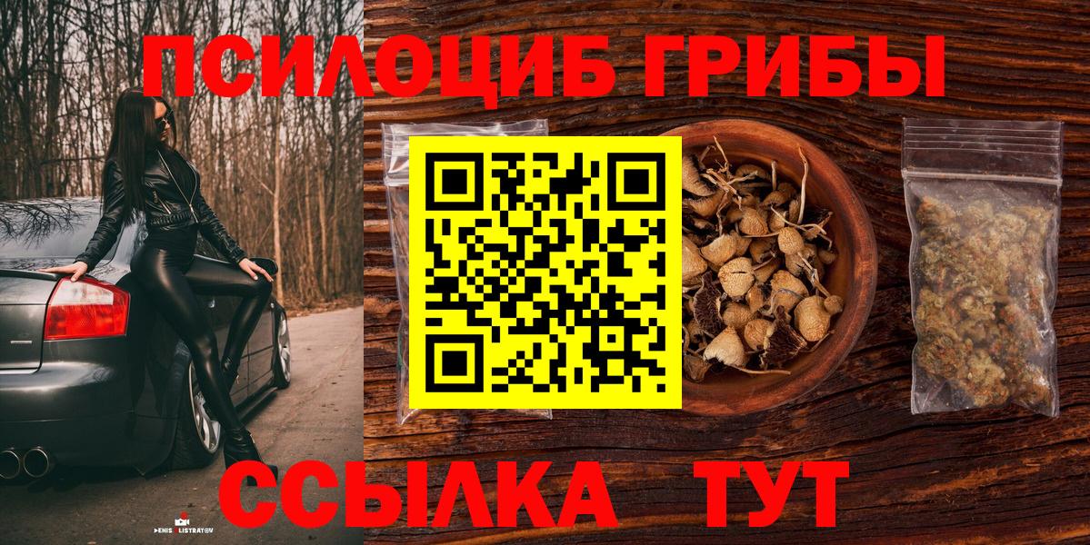 Псилоцибиновые грибы мухоморы Ессентуки