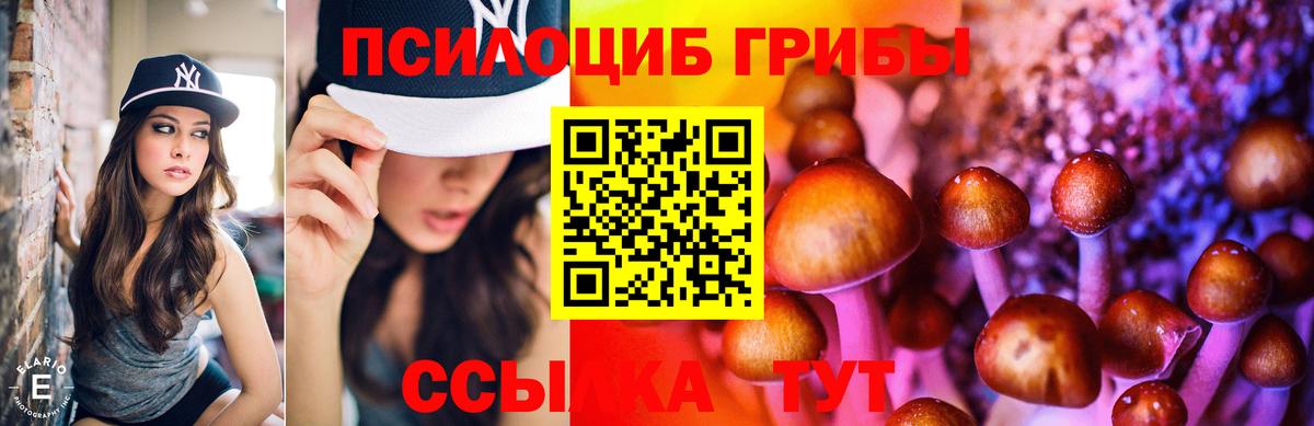Галлюциногенные грибы ЛСД  Вход с VPN  наркотики  Галлюциногенные грибы мицелий  Ессентуки 